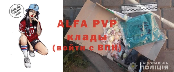 стаф Алексин