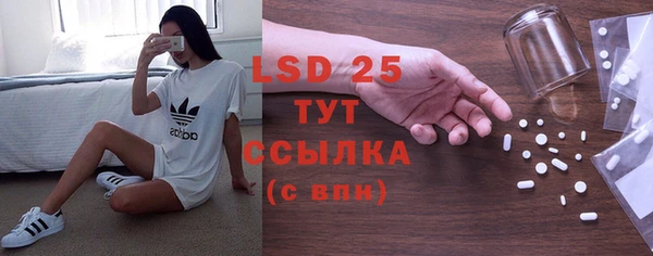 прущие крисы Алзамай