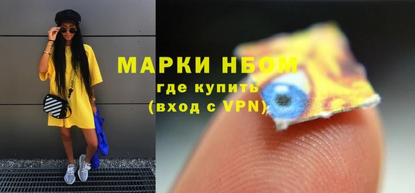 стаф Алексин