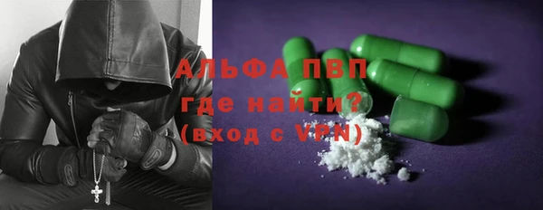 стаф Алексин