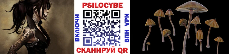 Галлюциногенные грибы Magic Shrooms Тотьма